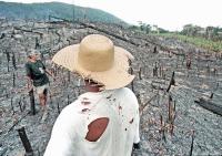 Farmers amid charred landscape in the northern state of Roraima.
