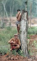 Frontier life in Brazil's western state of Rondônia.