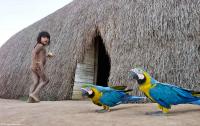 Young indigenous girl and Macaws at her village in the Alto Xingu.