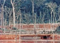 Barren landscape at a wildcat tin mining camp in western Rondônia.