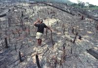 Local farmer amid ravaged landscape of the Amazon.