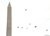 Marine One, birds and the Washington Monument fill the skyline of the capital.