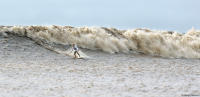 Surfing the tallest Pororoca bore wave ever recorded on the Araguari River.