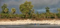 Surfers paddle into a Pororoca wave on the Mearim River at dawn.