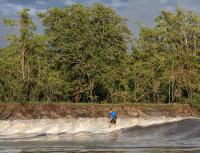 Surfer on the Mearim River at dawn in the Amazon.