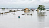 Soccer goalpost at an inundated farm on the floodplain along the Amazon River.