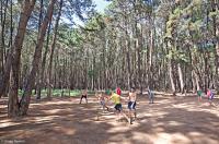 An improvised field in the Paranoá forest near the Brazilian capital.