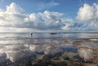 A fisherman at Praia do Forte beach just after sunrise in Bahia.