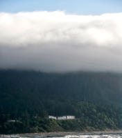 Idyllic homes; beachfront view amid Douglas-fir trees and fog in Oregon.