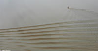 Surfers prepare to catch the Pororoca bore wave just after sunrise in the Amazon.